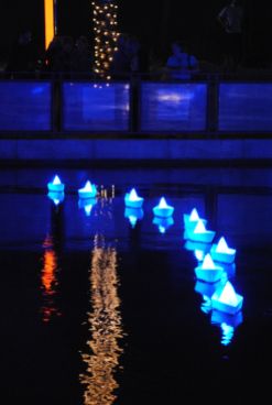 Who didn't ooh and ahh over the Aether and Hemera installation "Voyage" on the Arizona Canal in November? Photo by Deborah Ross.
